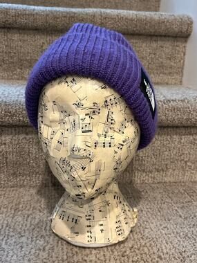 North Face knit hat - one size